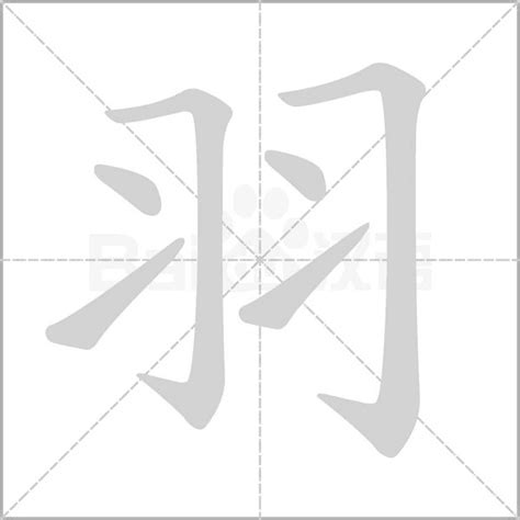 羽 字|羽（汉语文字）